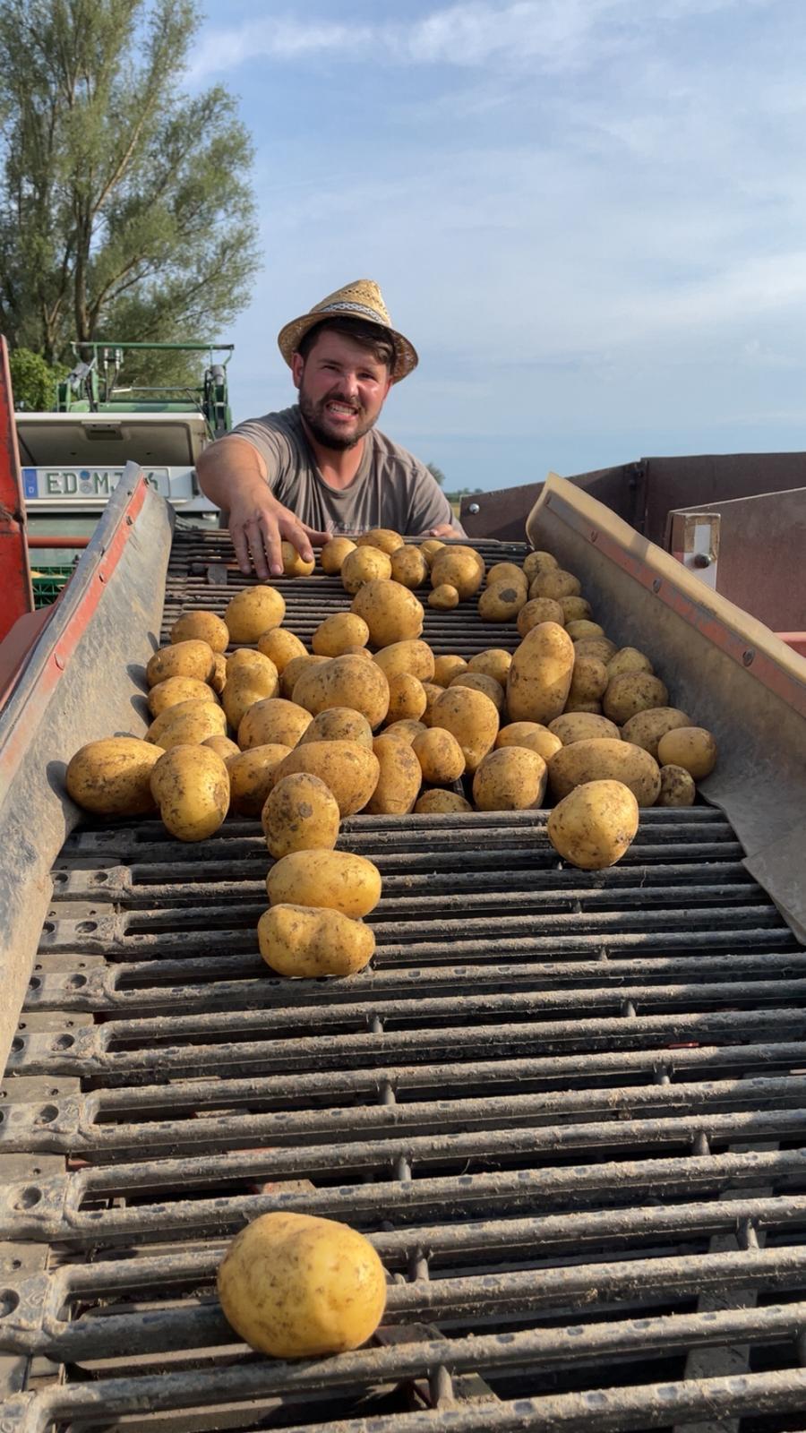 Felder rund um Berglern