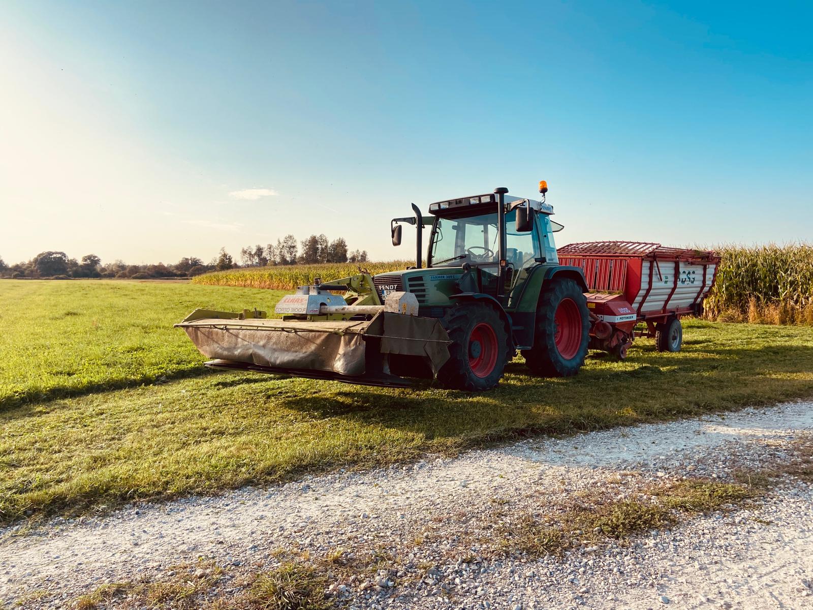 Auf den Feldern des Biohof Drexler